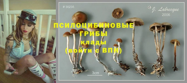 PSILOCYBIN Семикаракорск