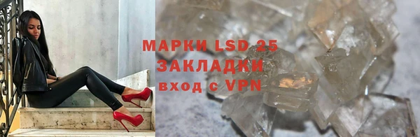 спиды Аркадак