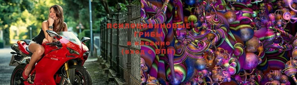 PSILOCYBIN Семикаракорск