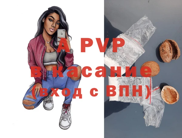 дмт Арсеньев