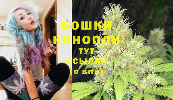 дмт Арсеньев