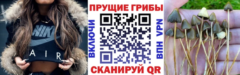 Галлюциногенные грибы GOLDEN TEACHER  где купить наркотик  сайты даркнета как зайти  Кубинка 