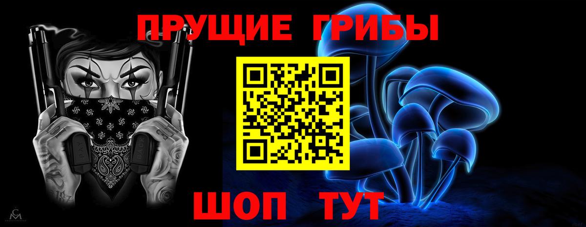 Псилоцибиновые грибы Psilocybe  Вход с VPN  Кубинка 