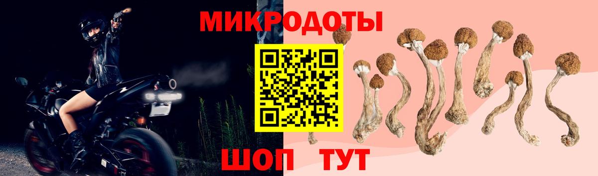 Галлюциногенные грибы Psilocybine cubensis Кубинка